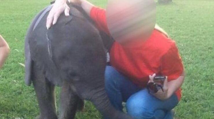 Ελληνίδα σταρ αγκαλιά με το πιο μικρό ελεφαντάκι στον κόσμο!