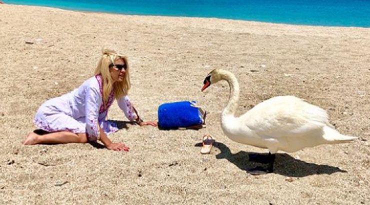 Ακομπλεξάριστη και μας αρέσει! Η Ελένη Μενεγάκη έχει κυτταρίτιδα και ούτε που τη νοιάζει! [εικόνες]