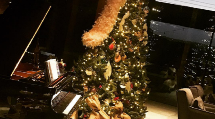 Αυτό είναι το εντυπωσιακό δέντρο επώνυμης Κύπριας!