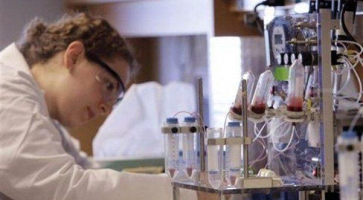 Ανακαλύφθηκε το αρχαιότερο απολιθωμένο σπερματοζωάριο 