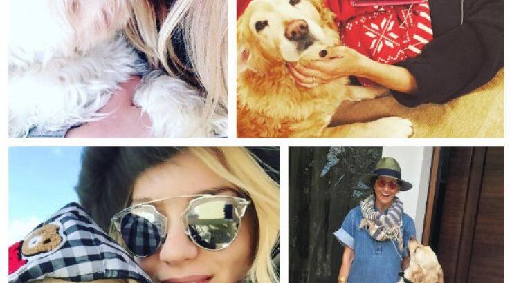 Επώνυμοι Κύπριοι με τα σκυλάκια τους!