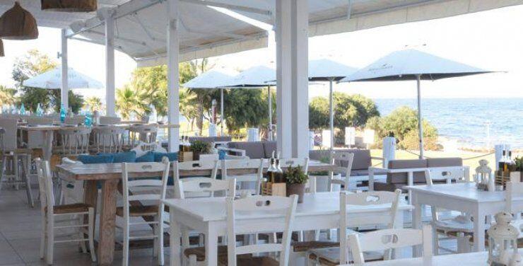 Τα Καλύτερα Εστιατόρια με Διεθνή Κουζίνα σε Πρωταρά και Αγία Νάπα