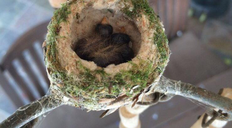 Δείτε τι απίστευτο φωτογράφησε η Eva Longoria [εικόνες]