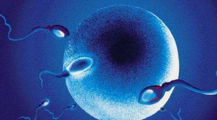 Νέα μέθοδος για το «ορμονικό ξύπνημα» στην εξωσωματική 