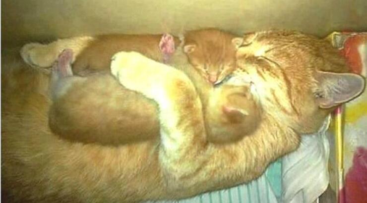 Mια υπέροχη φωτογραφία