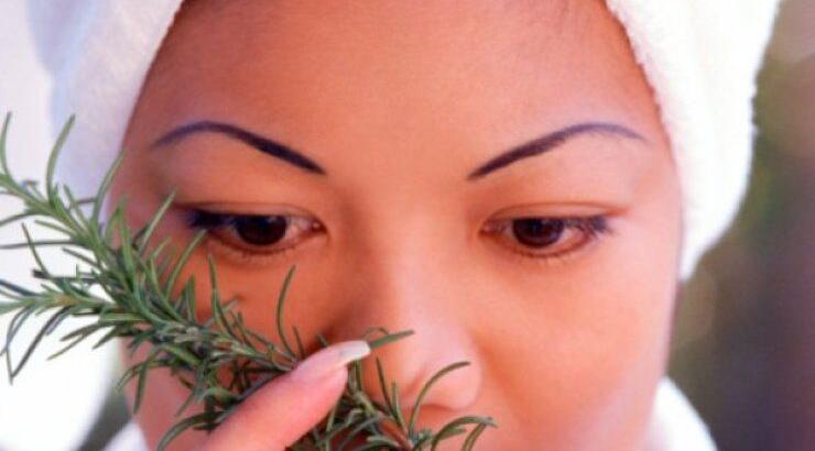 Δεντρολίβανο: H πιο οικονομική λύση για να μακρύνουν τα μαλλιά σας!