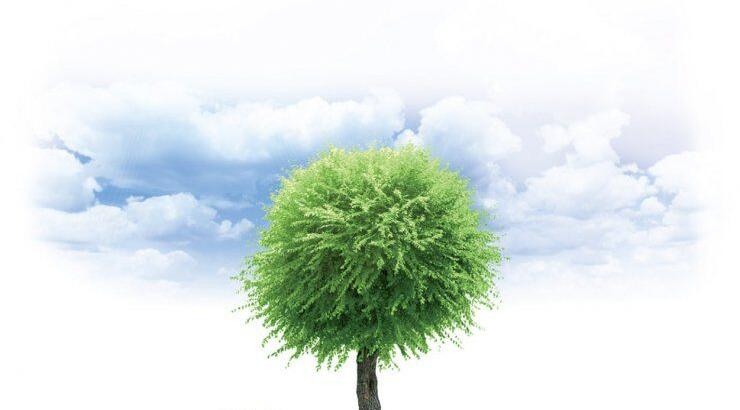 Open day στη Σχολή Φόρουμ!