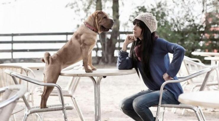 Ελένη Φουρέιρα: Ονόμασε το σκύλο της Μαϊμού