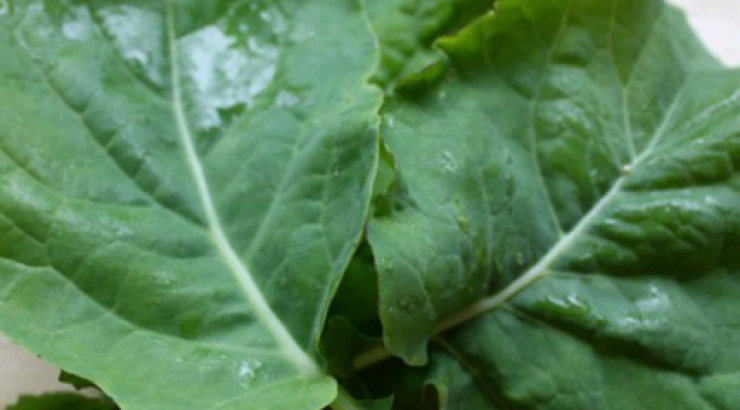 Το κορυφαίο superfood που πετάς στα σκουπίδια!