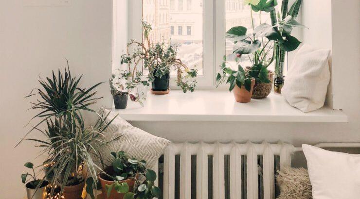 Βάλε φυτά στο σπίτι σου με επτά πρωτότυπους τρόπους