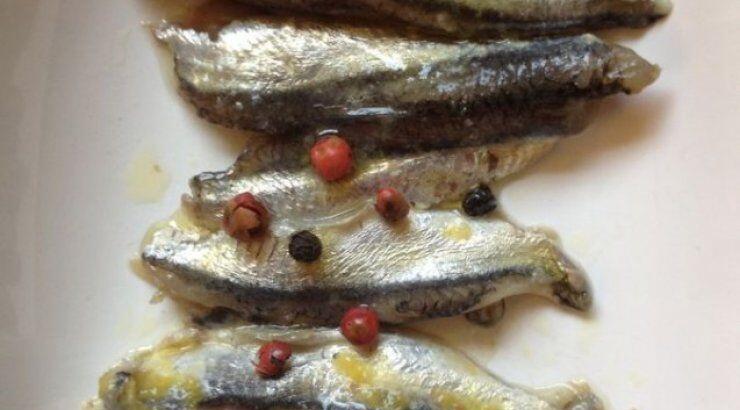 Γάβρος μαρινάτος