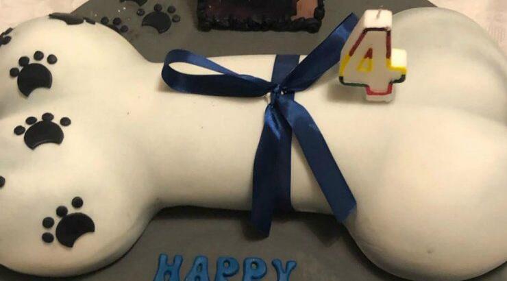 Κύπριος επιχειρηματίας έκανε party γενεθλίων στον σκύλο του που έκλεισε 4 χρονών