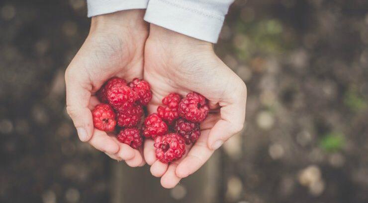 Οκτώ φρούτα με λίγη ζάχαρη για υγιεινή διατροφή