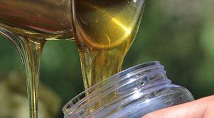 Ο Καλοπαναγιώτης ετοιμάζεται για το 1ο Φεστιβάλ Μελιού