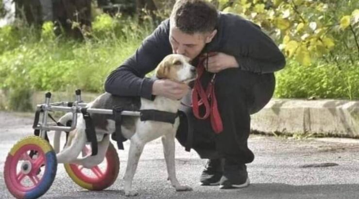 Συγκινεί ο Χατζηγιάννης με την προσπάθεια να βγάλει βόλτα τη σκυλίτσα του με αναπηρία [βίντεο]
