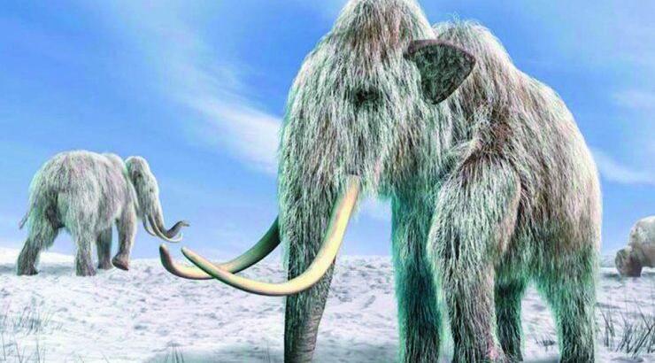 Μικρά και μεγάλα ζώα "εισβάλλουν" στο The Mall of Cyprus, σε μία μοναδική (δωρεάν) έκθεση