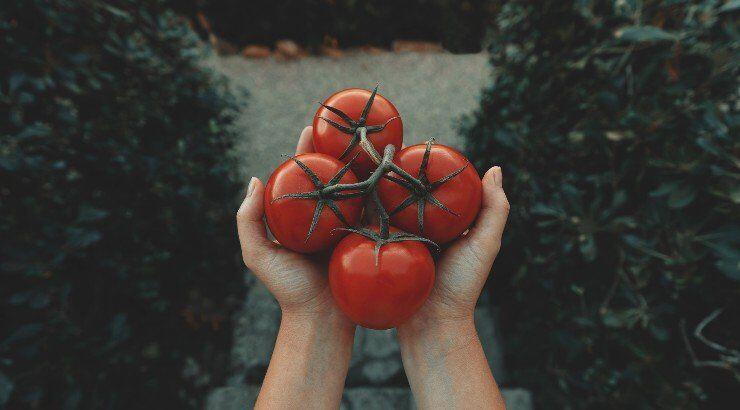 Top 10 αντιοξειδωτικές τροφές!