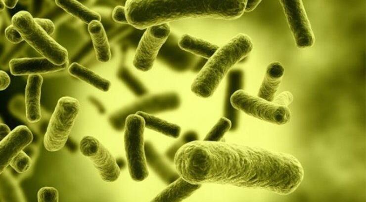 Όλα όσα πρέπει να γνωρίζουμε για τον ιό Έμπολα