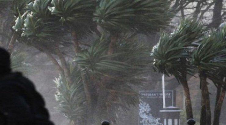 Οι ισχυροί άνεμοι εκρίζωσαν δέντρα - Επικίνδυνοι δρόμοι 