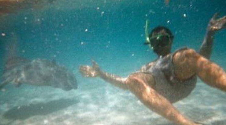 Ποιο διάσημοι ζευγάρι της ελληνικής showbiz κολύμπησε με σαλάχια  και baby sharks;