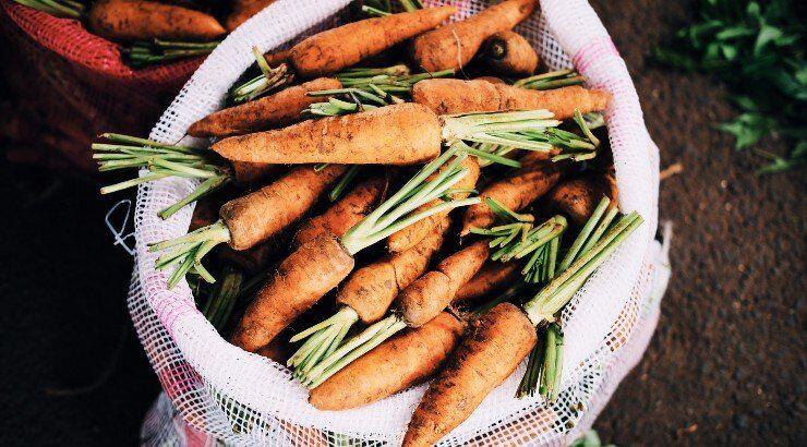 Καρότο: Το πορτοκαλί λαχανικό που ενισχύει την άμυνα και καταπολεμά τη φλεγμονή