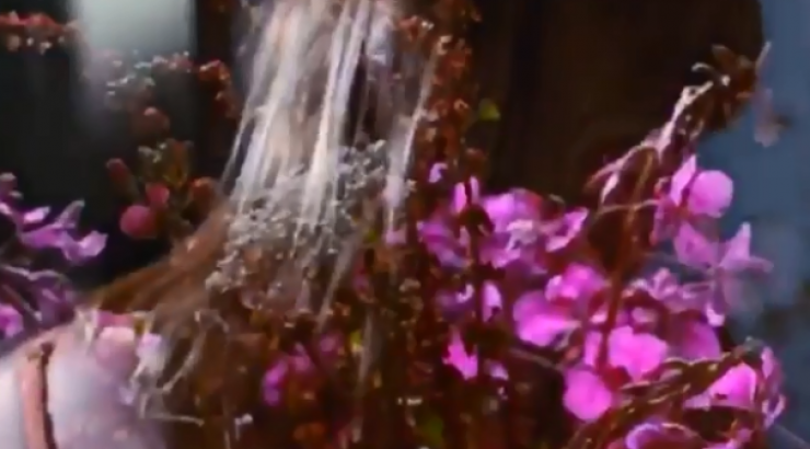 Κι άλλη επώνυμη περιμένει το πρώτο της μωράκι!