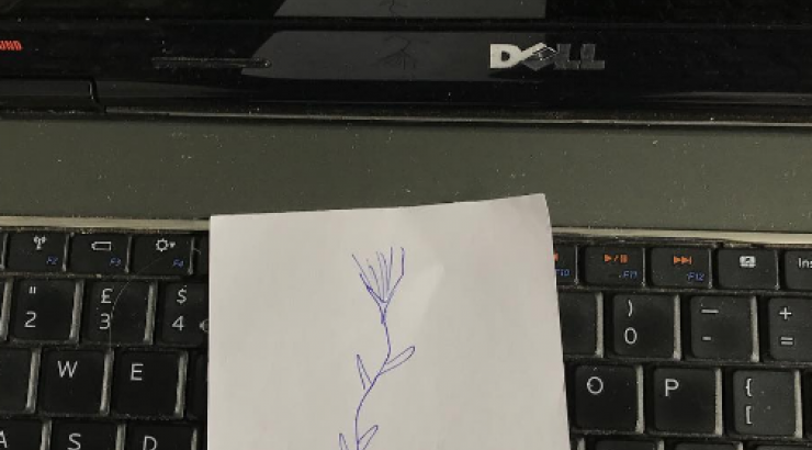 Η ρομαντική έκπληξη που έκανε σε επώνυμη Κύπρια ο σύντροφός της!