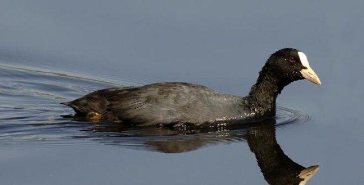 Εκπαιδευτική Εκδρομή για Οικογένειες