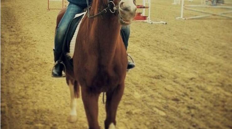 Ποια Κύπρια παρουσιάστρια έκανε το πρωί ιππασία