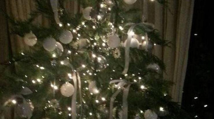 Kύπρια παρουσιάστρια: Πως στόλισε το χριστουγεννιάτικο δέντρο της;