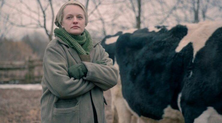 O 4ος κύκλος της σειράς "The Handmaid