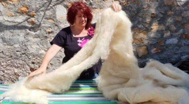 Ευρωπαϊκή Ημέρα Πρόβειου Μαλλιού, 9 Απριλίου 2021