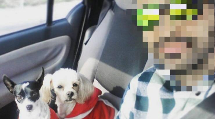 Eπώνυμος Κύπριος έντυσε Αγιοβασίληδες τα σκυλάκια του