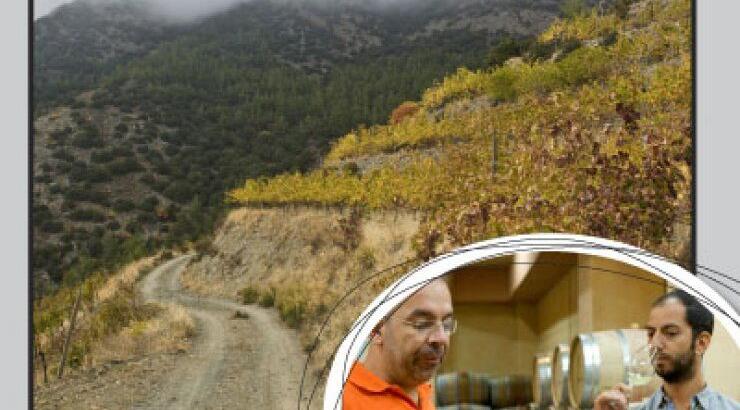 Στον υψηλότερο αμπελώνα της Ευρώπης