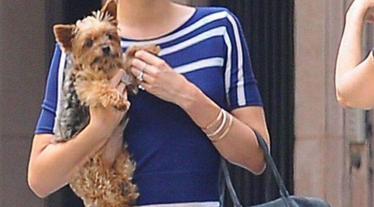 Miranda Kerr: Βόλτα με το σκυλάκι της