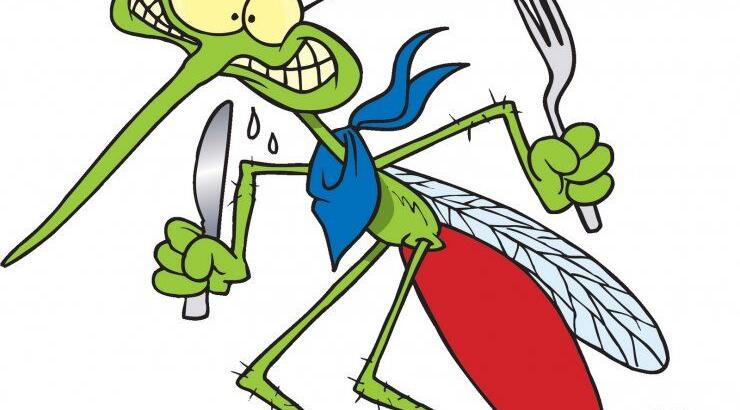 Σε τσίμπησε κουνούπι; Δες τι να κάνεις άμεσα για να σταματήσει η φαγούρα