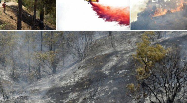 Υπό έλεγχο η Σολέα - Επαγρύπνηση για αναζωπυρώσεις