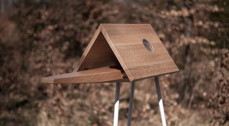 Φωλιά για τα πουλιά