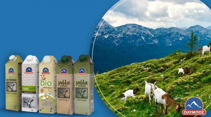 Ανακάλυψε την γκάμα κατσικίσιων προϊόντων της ΟΛΥΜΠΟΣ