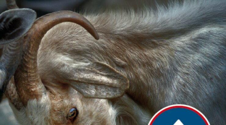 Ολοκληρωμένη σειρά γαλακτοκομικών προϊόντων ΟΛΥΜΠΟΣ τώρα και στην Κύπρο