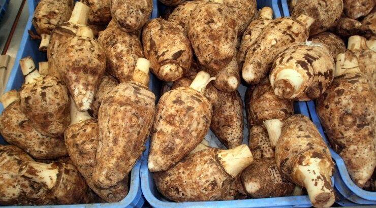 Τριαντάφυλλο και κολοκάσι σε Ευρωπαική τροχιά 