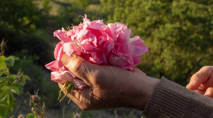 O ΑΓΡΟΣ ΕΧΕΙ ΤΗΝ ΠΙΟ ΓΛΥΚΙΑ ΙΣΤΟΡΙΑ!