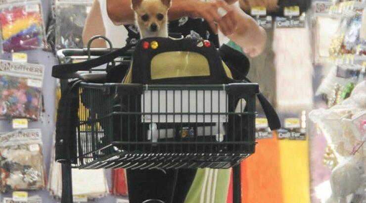 Δείτε με ποιον ψωνίζει η Paris Hilton στο supermarket 