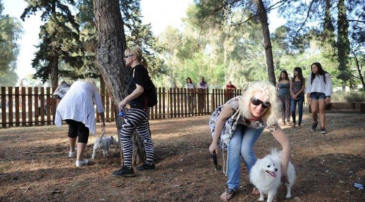 Έρχεται πάρκο για σκύλους στον Αρχάγγελο!