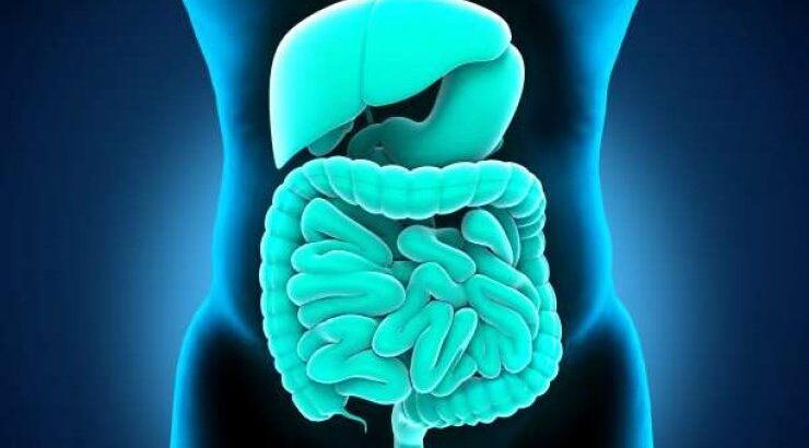 10 εργαλεία για να αρχίσετε να αντιστρέφετε το αυτοάνοσο νόσημά σας