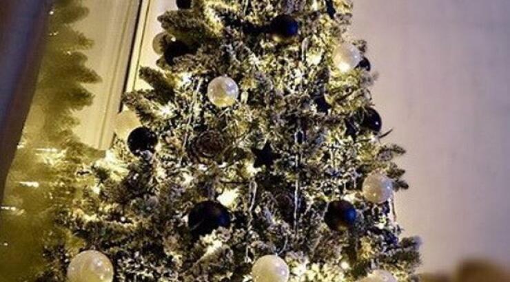 Το χριστουγεννιάτικο δέντρο επώνυμης Κύπριας - Το έφτιαξε με τον γιο της!