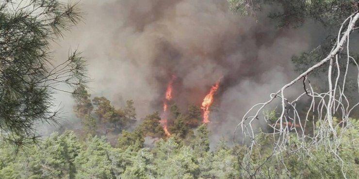 Απώλεια χρόνου προκύπτει από την Έκθεση για την πυρκαγιά 