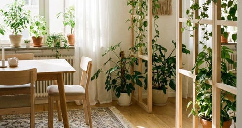 Μια έξυπνη λύση για μια πράσινη γωνιά μέσα στο σπίτι