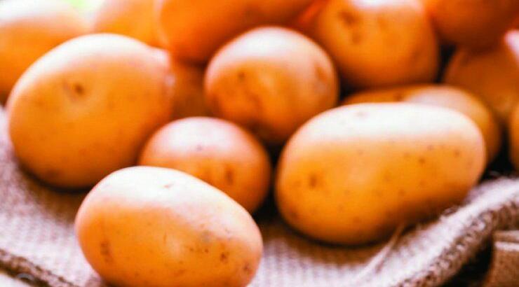 4ο Παγκύπριο Φεστιβάλ Πατάτας στο Αυγόρου