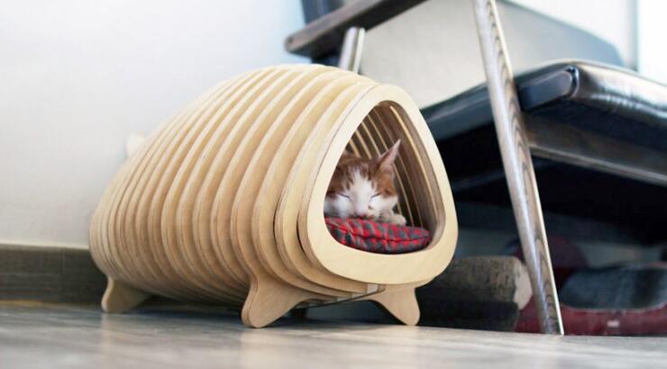 Σπίτι-ψαροκόκαλο